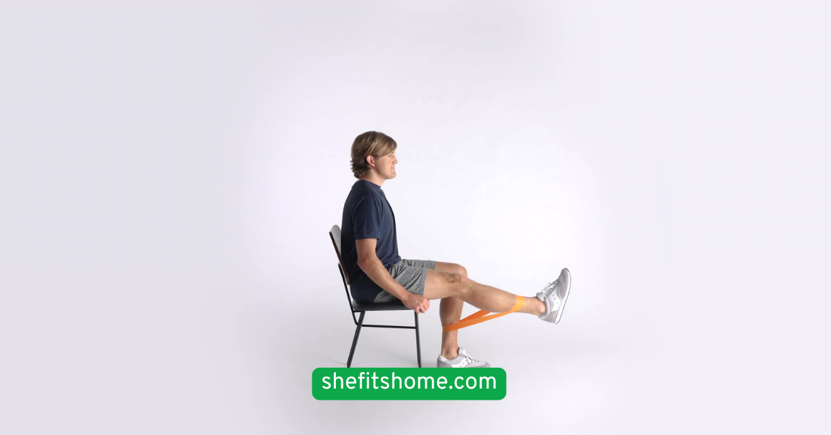 Seated Knee Extensions