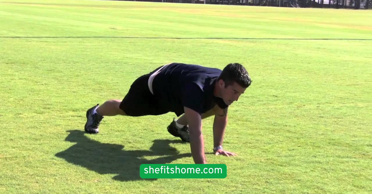 Bear Crawls