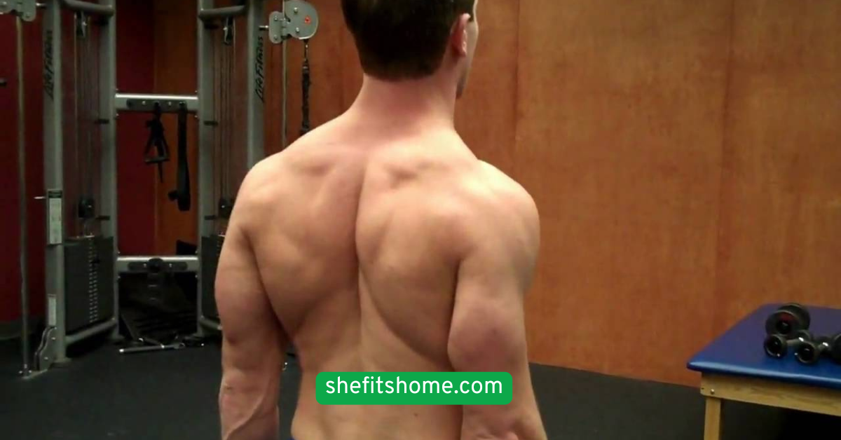  Shoulder Shrugs