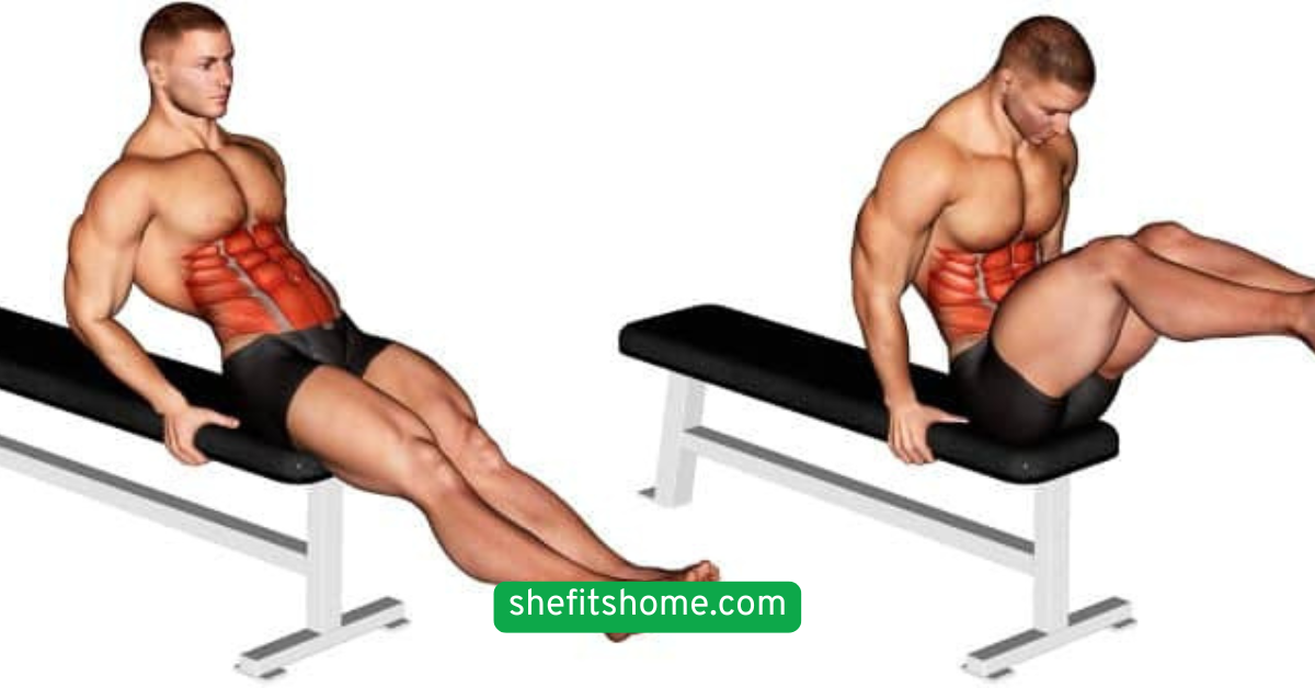 Seated Leg Lifts